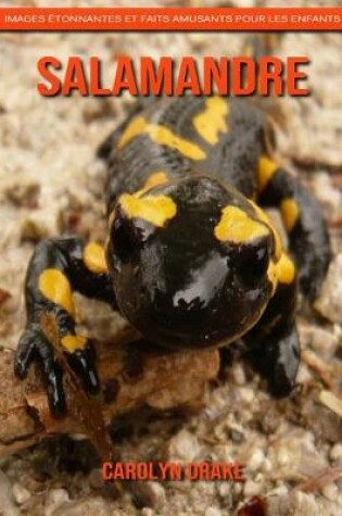 Cover of Salamandre