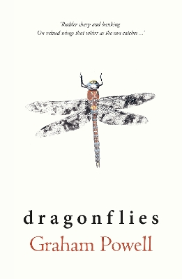 Book cover for Dragonflies