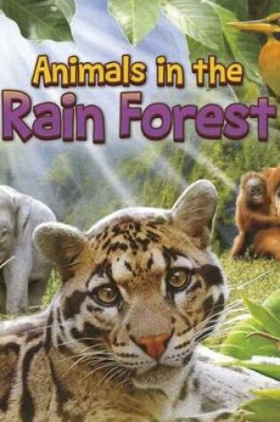 Cover of In The Rain Forest