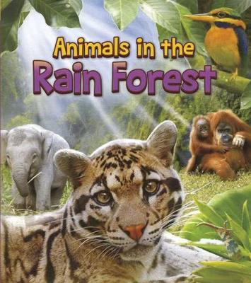 Cover of In The Rain Forest