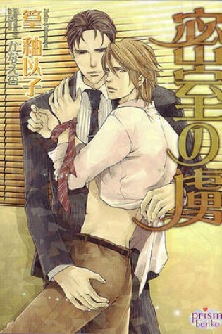 Cover of Caged Slave (Yaoi Novel)