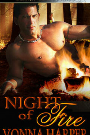 Cover of Night of Fire