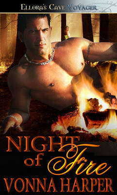 Book cover for Night of Fire