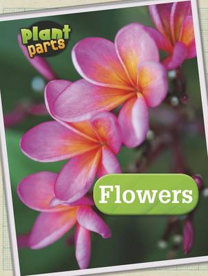 Cover of Plant Parts Pack A of 4
