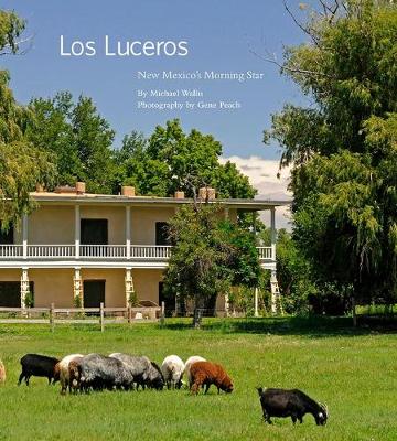 Book cover for Los Luceros