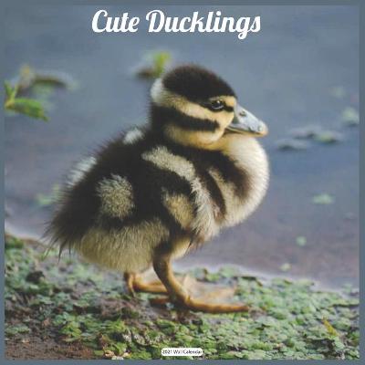 Book cover for Cute Ducklings 2021 Wall Calendar