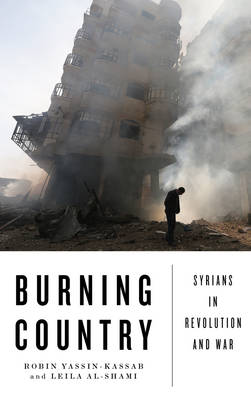 Book cover for Burning Country