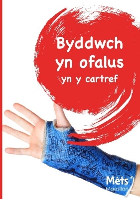 Book cover for Mêts Maesllan 2 - Byddwch yn Ofalus yn y Cartref