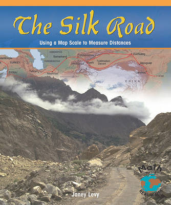 Book cover for The Silk Road