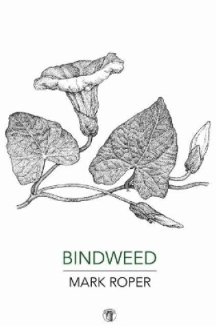 Cover of Bindweed