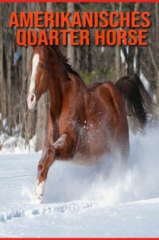 Cover of Amerikanisches Quarter Horse