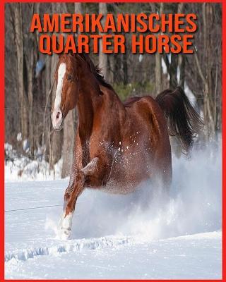 Book cover for Amerikanisches Quarter Horse