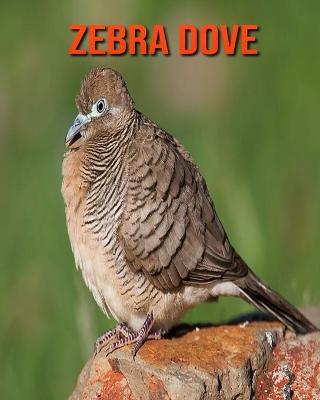 Book cover for Zebra Dove
