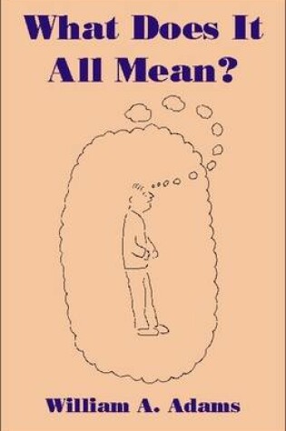 Cover of What Does it All Mean?