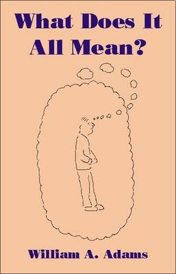 Cover of What Does it All Mean?