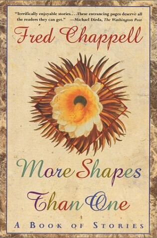 Cover of More Shapes Than One
