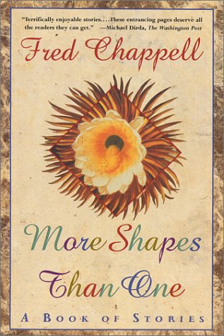 Book cover for More Shapes Than One
