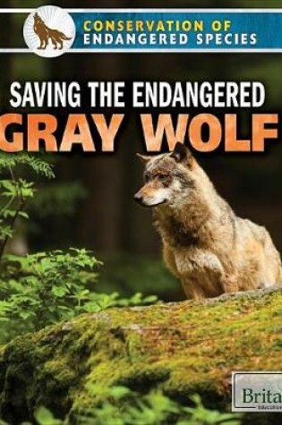 Cover of Saving the Endangered Gray Wolf