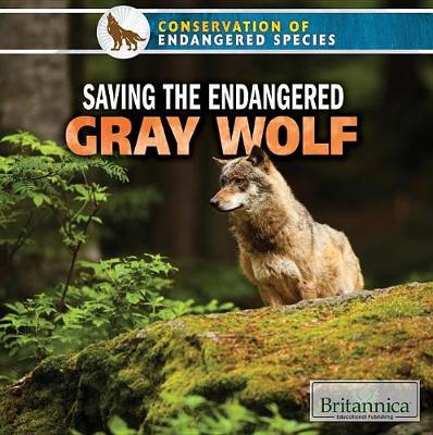 Book cover for Saving the Endangered Gray Wolf