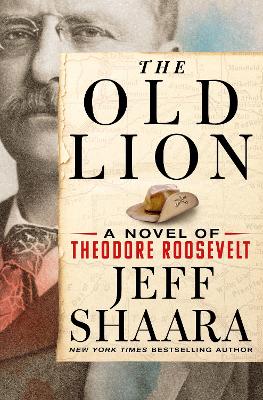 Book cover for The Old Lion