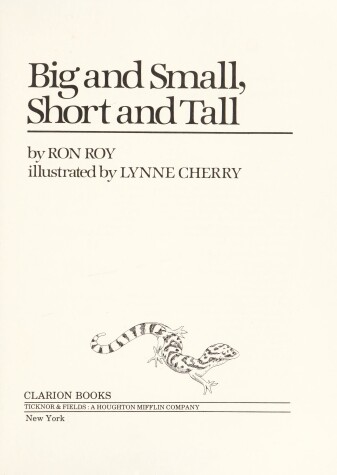 Book cover for Big and Small, Short and Tall