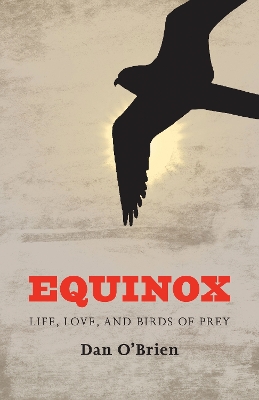 Book cover for Equinox