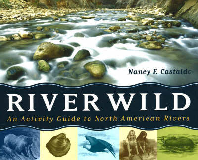 Book cover for River Wild