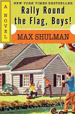 Book cover for Rally Round the Flag, Boys!