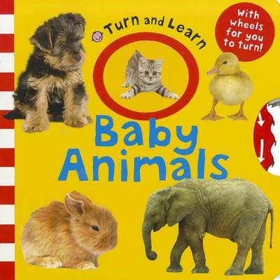 Book cover for Turn and Learn Baby Animals