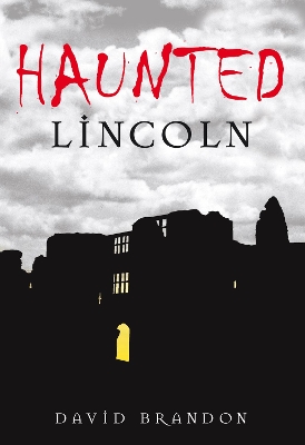 Book cover for Haunted Lincoln