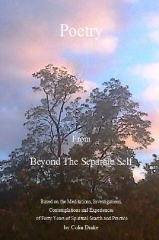 Cover of Poetry from Beyond the Separate Self