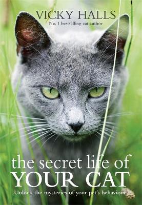 Book cover for The Secret Life of your Cat