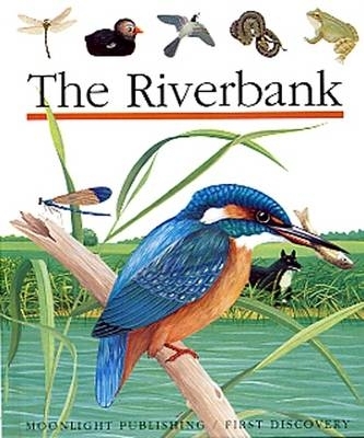 Book cover for The Riverbank