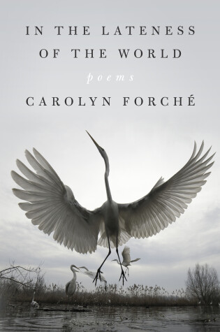 Book cover for In the Lateness of the World