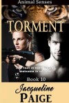 Book cover for Torment