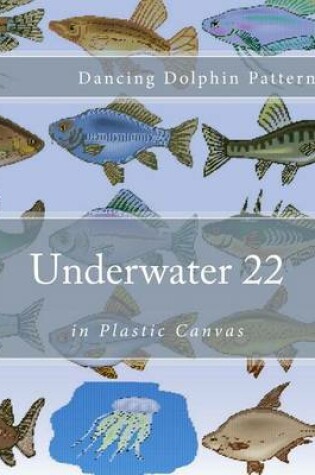 Cover of Underwater 22