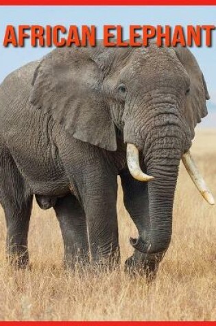 Cover of African Elephant