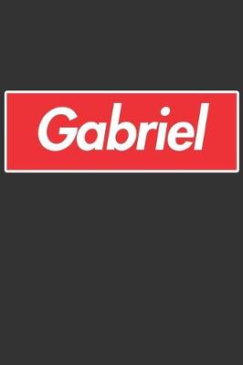 Book cover for Gabriel