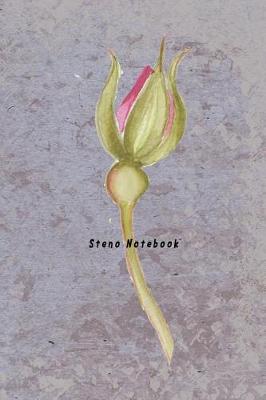 Book cover for Steno Notebook