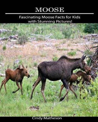 Book cover for Moose