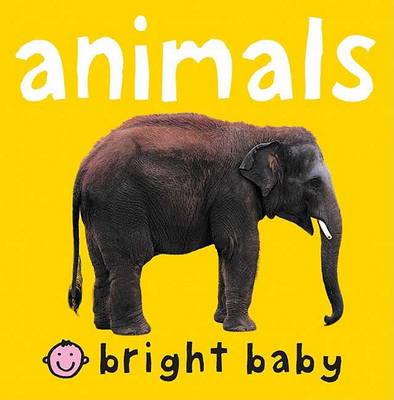 Cover of Bright Baby Chunky