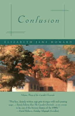 Book cover for Confusion