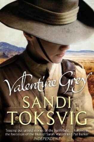 Cover of Valentine Grey