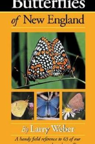 Cover of Butterflies of New England