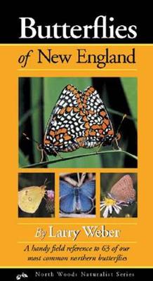 Cover of Butterflies of New England