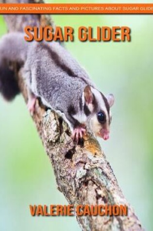 Cover of Sugar Glider - Fun and Fascinating Facts and Pictures About Sugar Glider