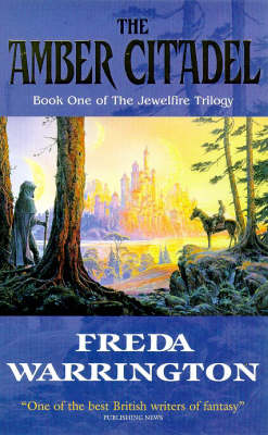 Book cover for The Amber Citadel