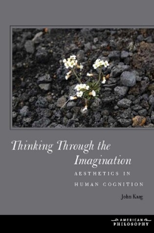 Cover of Thinking Through the Imagination