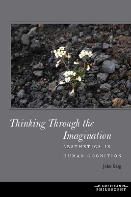 Book cover for Thinking Through the Imagination