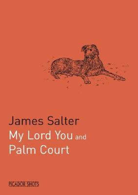 Book cover for PICADOR SHOTS - 'My Lord You'